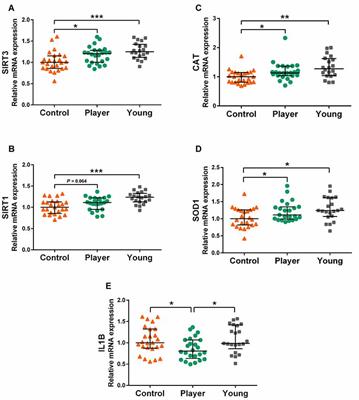 Peripheral Maintenance of the Axis SIRT1-SIRT3 at Youth Level May Contribute to Brain Resilience in Middle-Aged Amateur Rugby Players